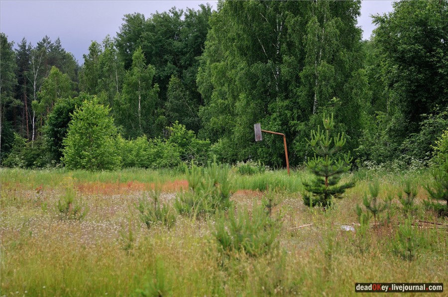 усадьба Паньково