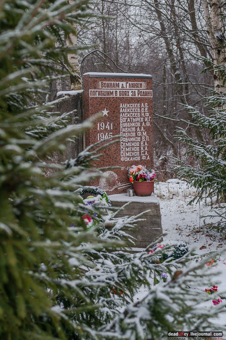 братские могилы Истринского района