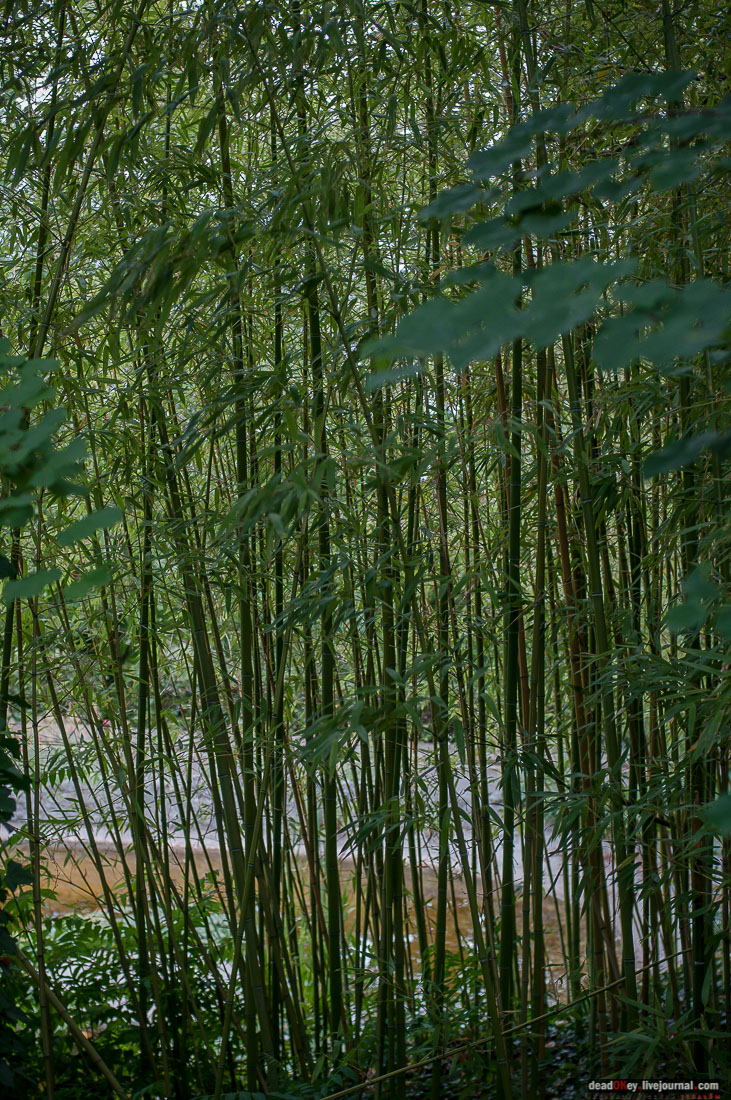 Юсуповский дворец в Кореизе, Крым