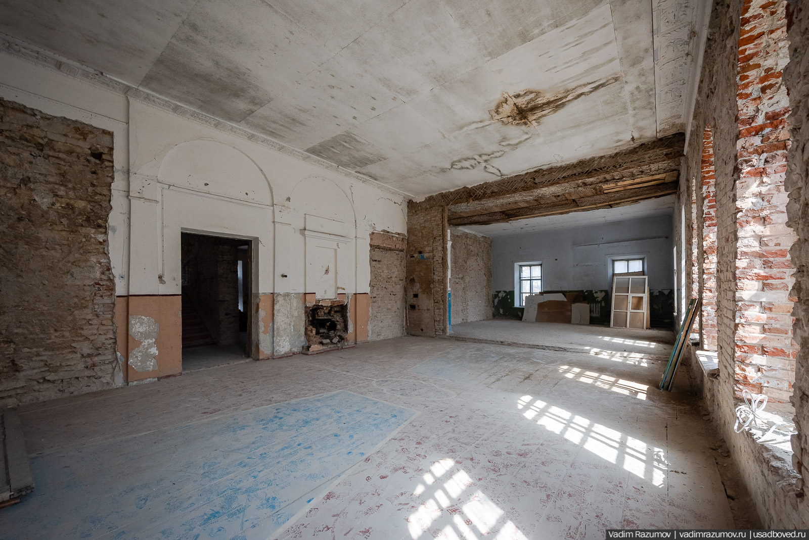 Пролески в усадьбе Репец, Задонский район, Липецкая область