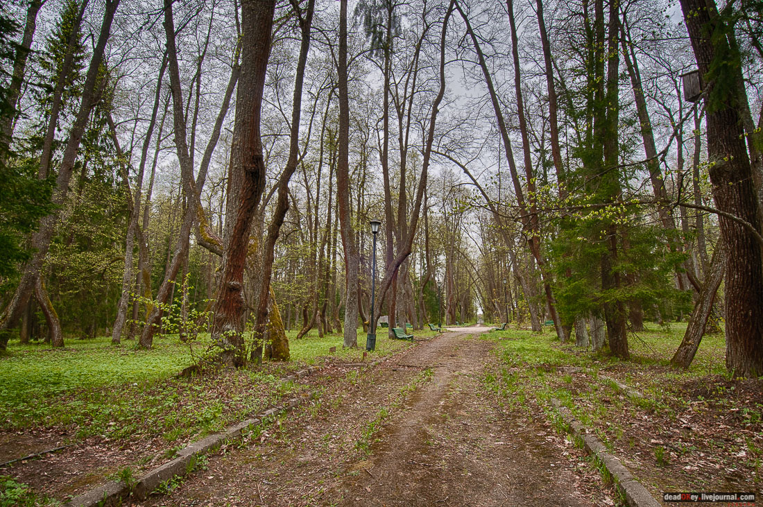усадьба Михайловское