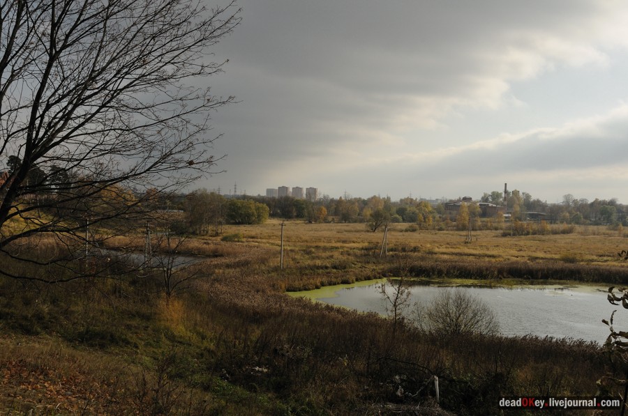 усадьба Образцово