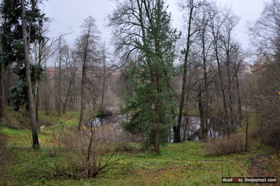 усадьба Горки Ленинские