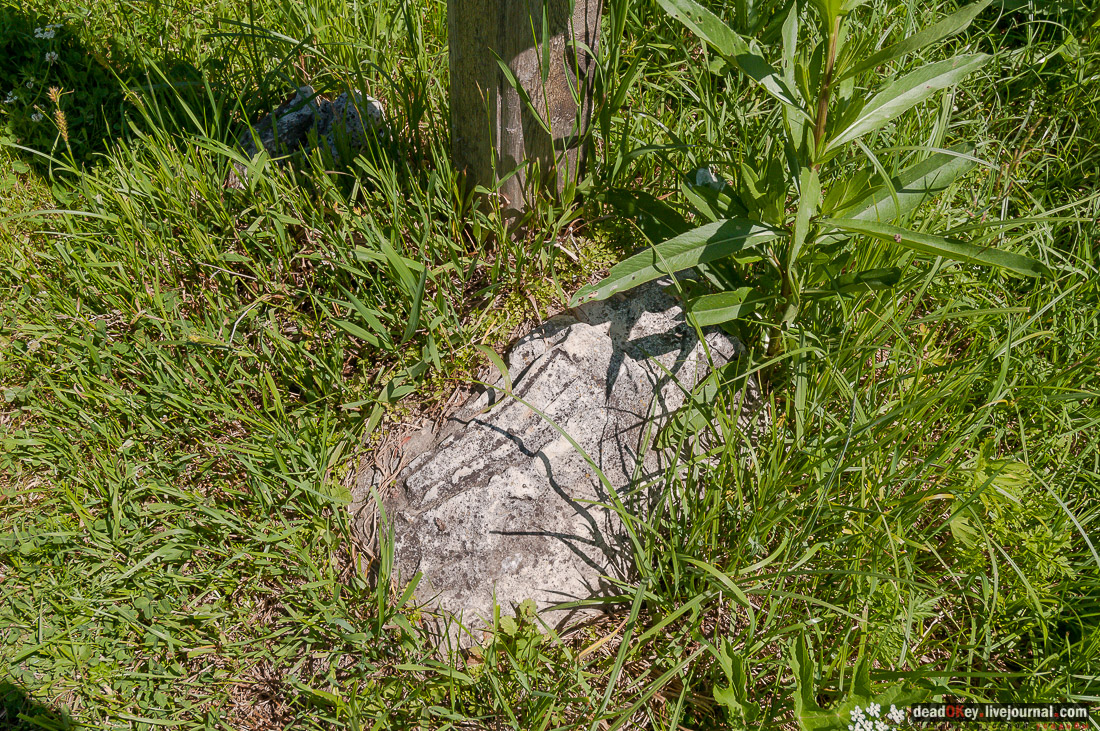 усадьба Мещерино