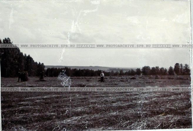 усадьба Городня