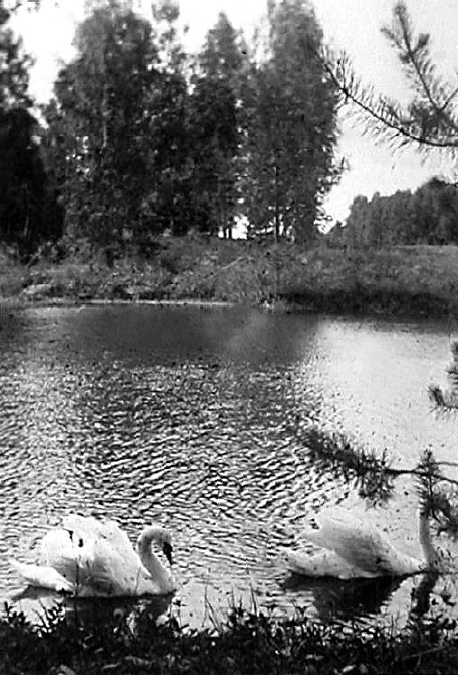 усадьба Архангельское-Тюриково