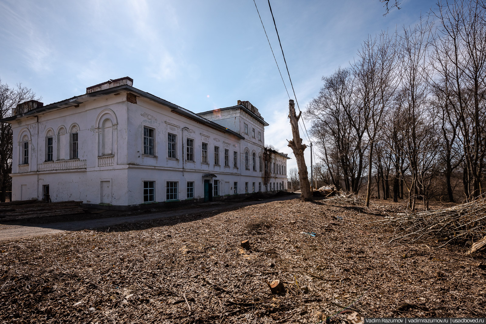Пролески в усадьбе Репец, Задонский район, Липецкая область