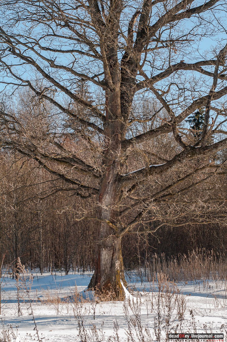 усадьба Ивановское-Козловское
