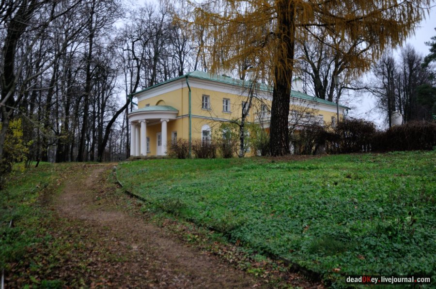 усадьба Горки Ленинские