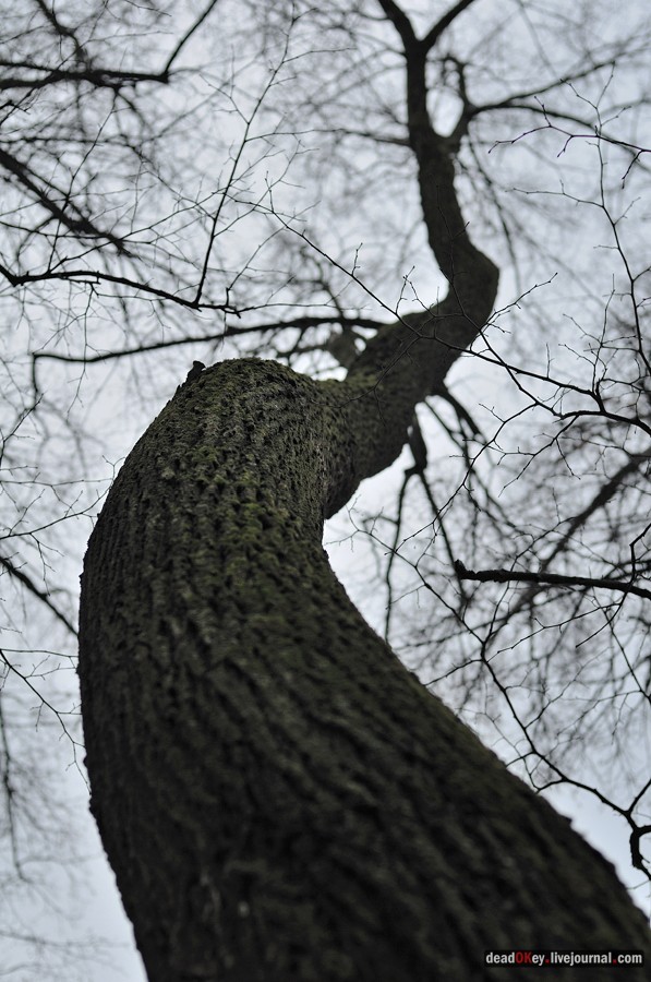 усадьба Иславское