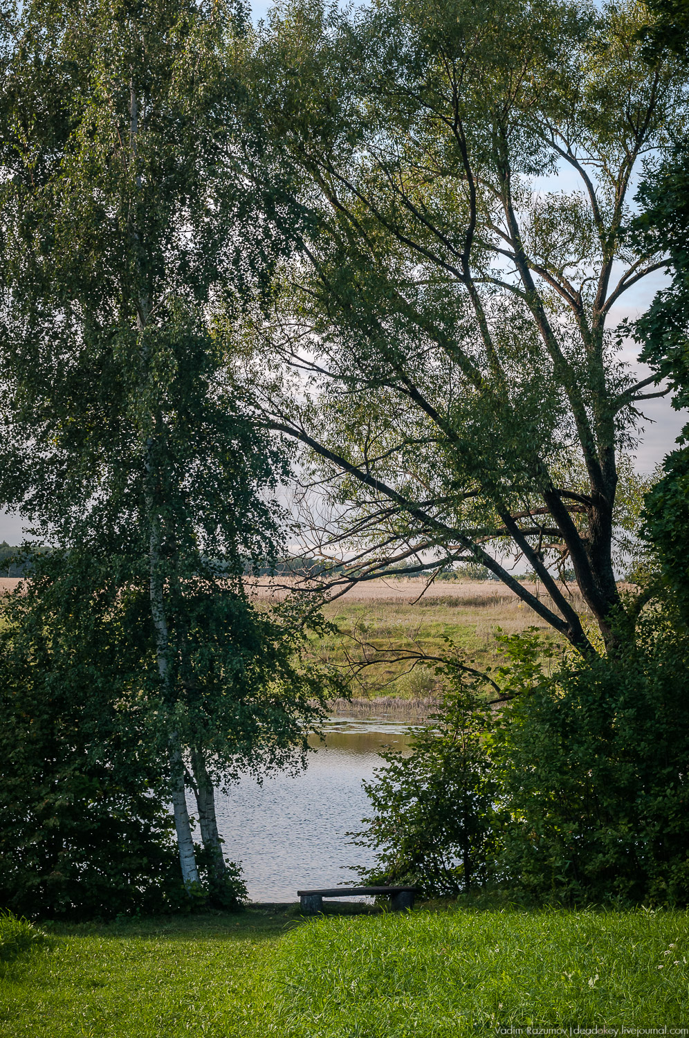 усадьба Даровое, Зарайский район, Ф.М. Достоевский