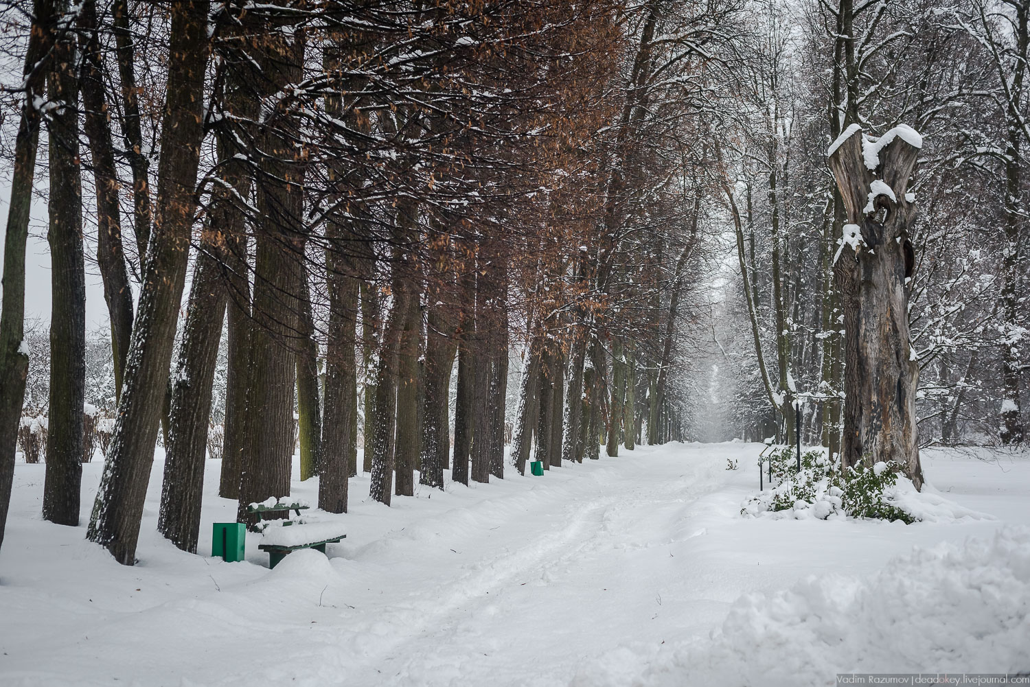 усадьба Горки Ленинские, 2018 год, Летопись русской усадьбы, Вадим Разумов