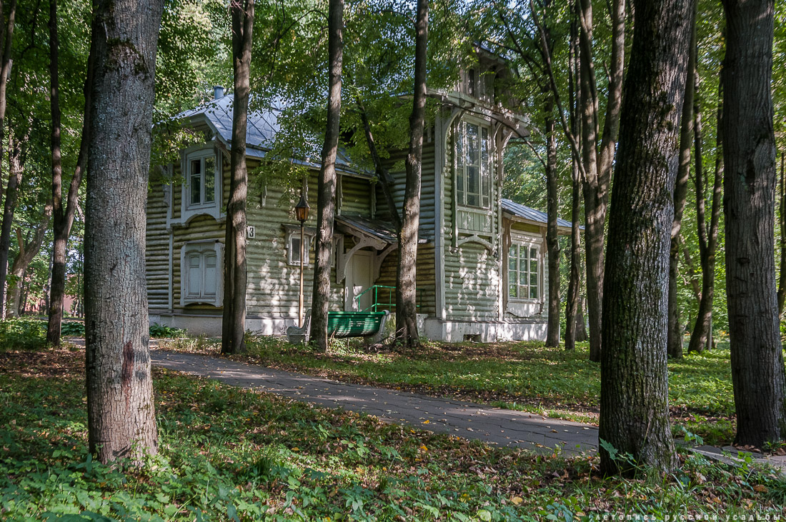 Усадебный экспресс. Путешествие в усадьбы Гребнево, Фряново и Райки 18 марта 2017 года