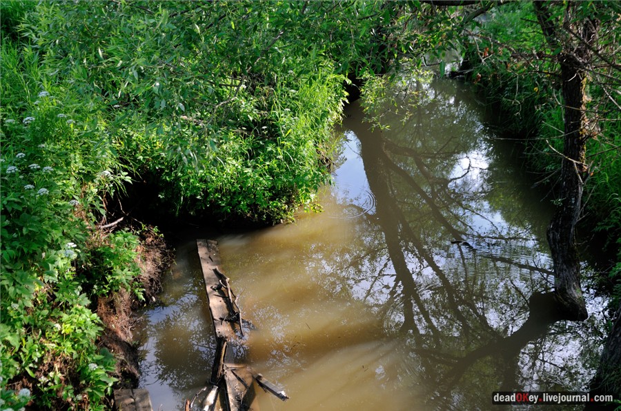 усадьба Завалино