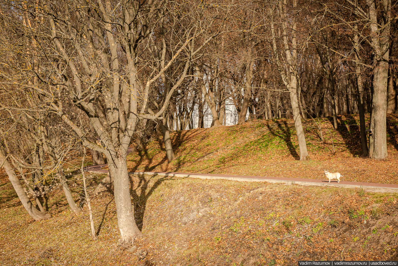 Богородицк, открытие плотины Дворцового пруда, Тульская область