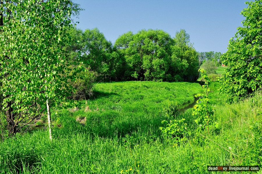 усадьба Талицы
