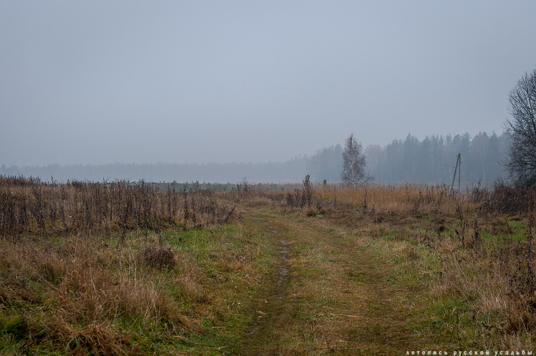 усадьба Могутово