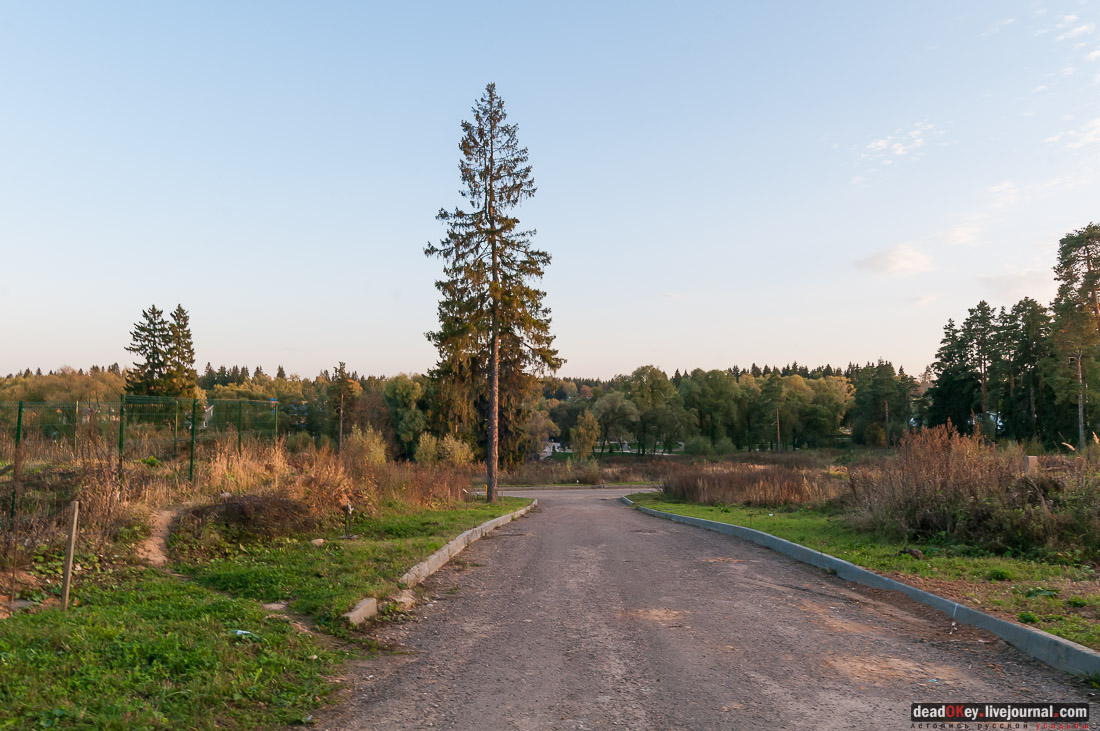 усадьба Бергов