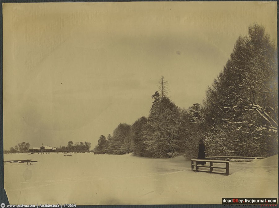 усадьба Петровское-Разумовское