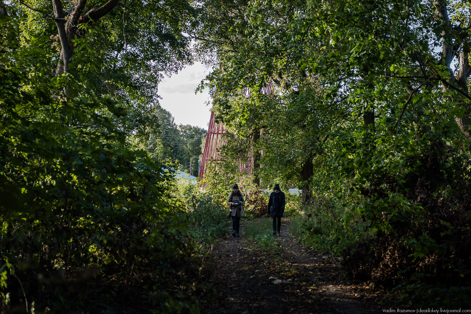 усадьба Полибино, Липецкая область, Усадебные волонтеры 21 сентября 2019 года