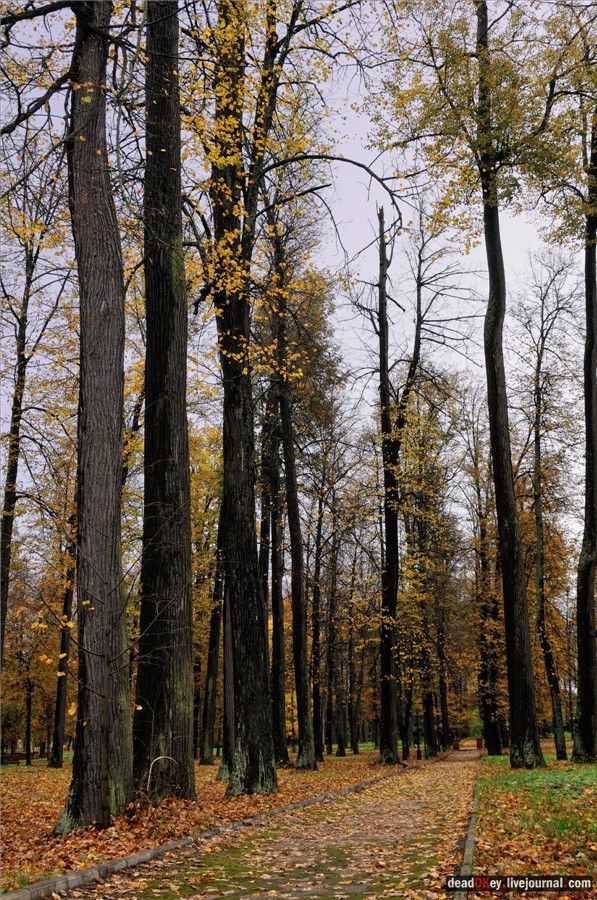 усадьба Марфино