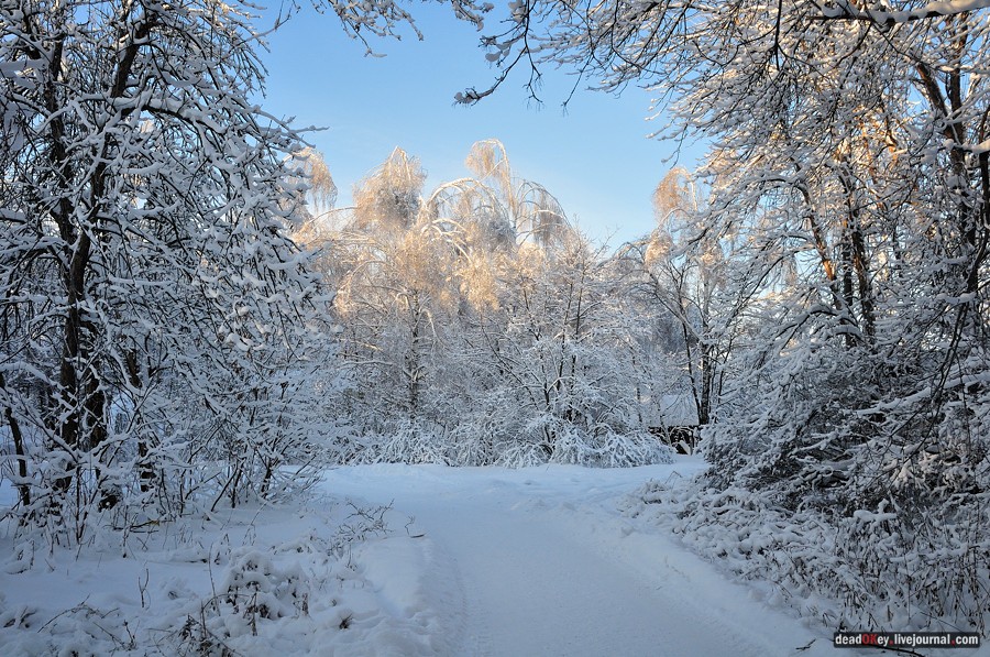 усадьба Полушкино