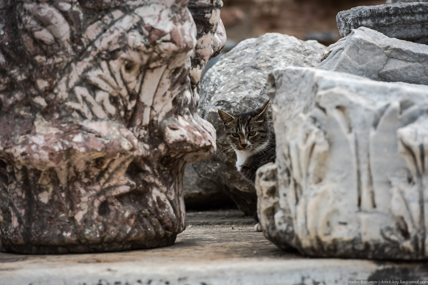 Эфес, античные руины, Турция