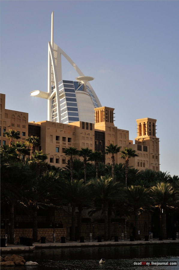 ОАЭ. Дубаи.
