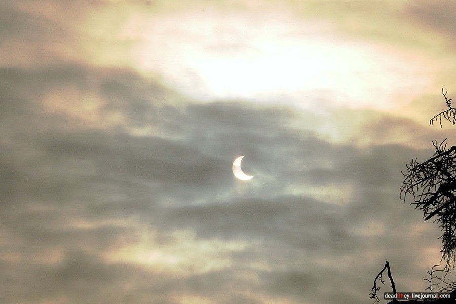 усадьба Красково