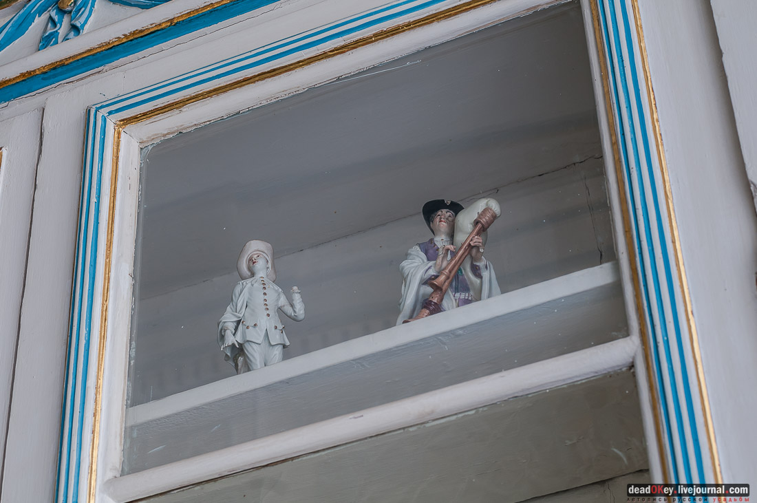 усадьба Кусково библиотека