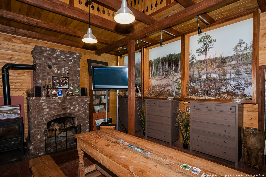 Экоэлектричка на родину журавлей в Талдомский район