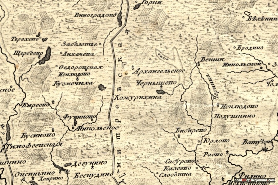 усадьба Архангельское-Тюриково