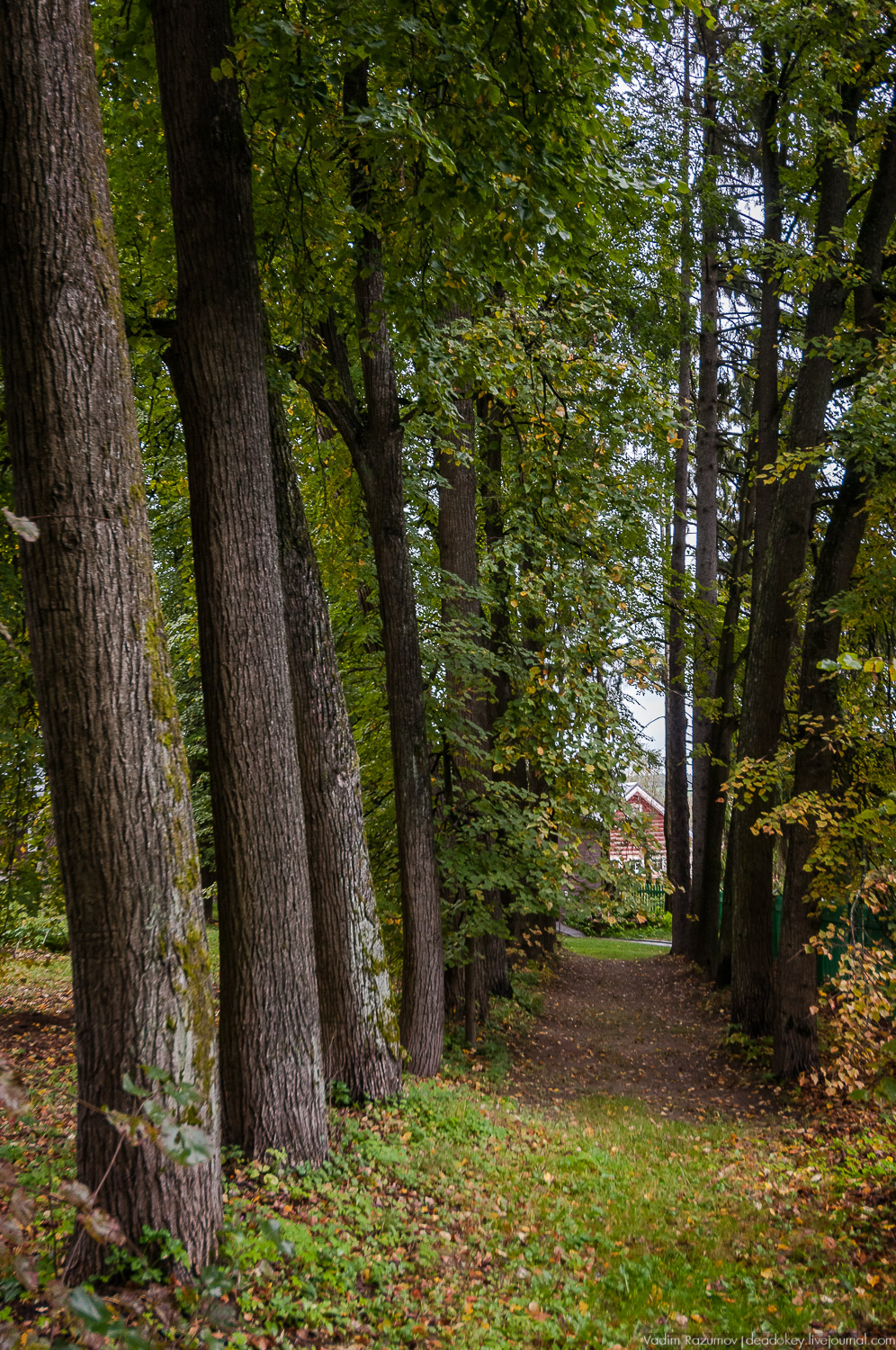 усадьба Дунино, дача Пришвина