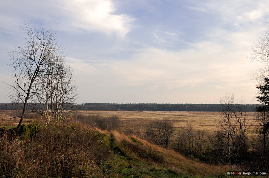 усадьба Бережки