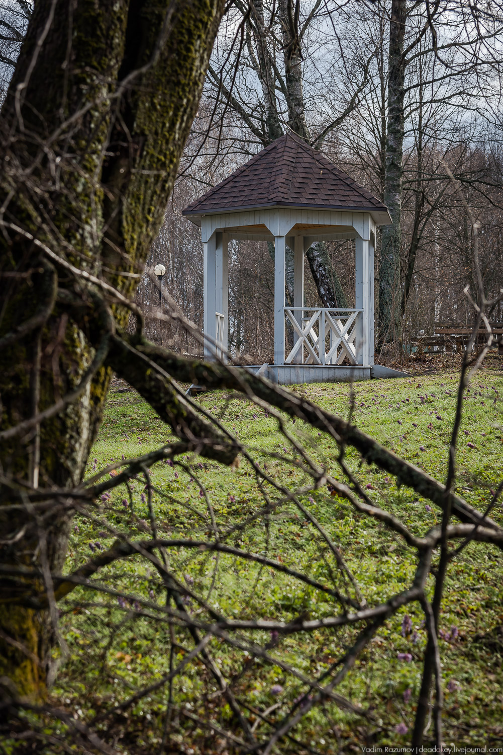 усадьба Домотканово, весна 2018 год