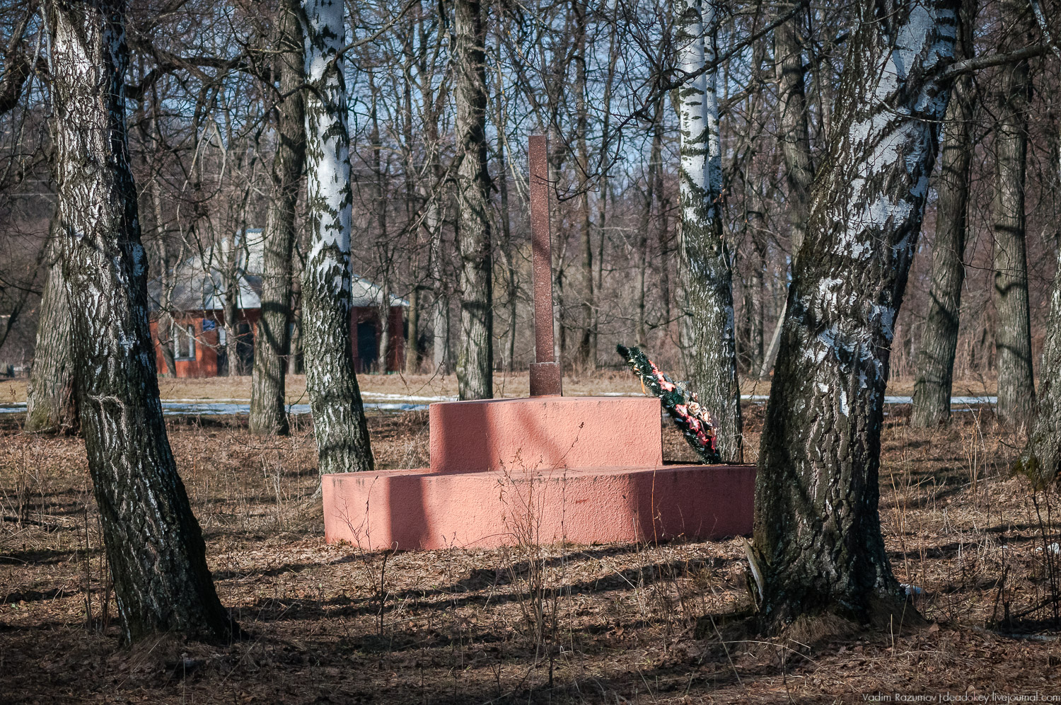 усадьба Соха