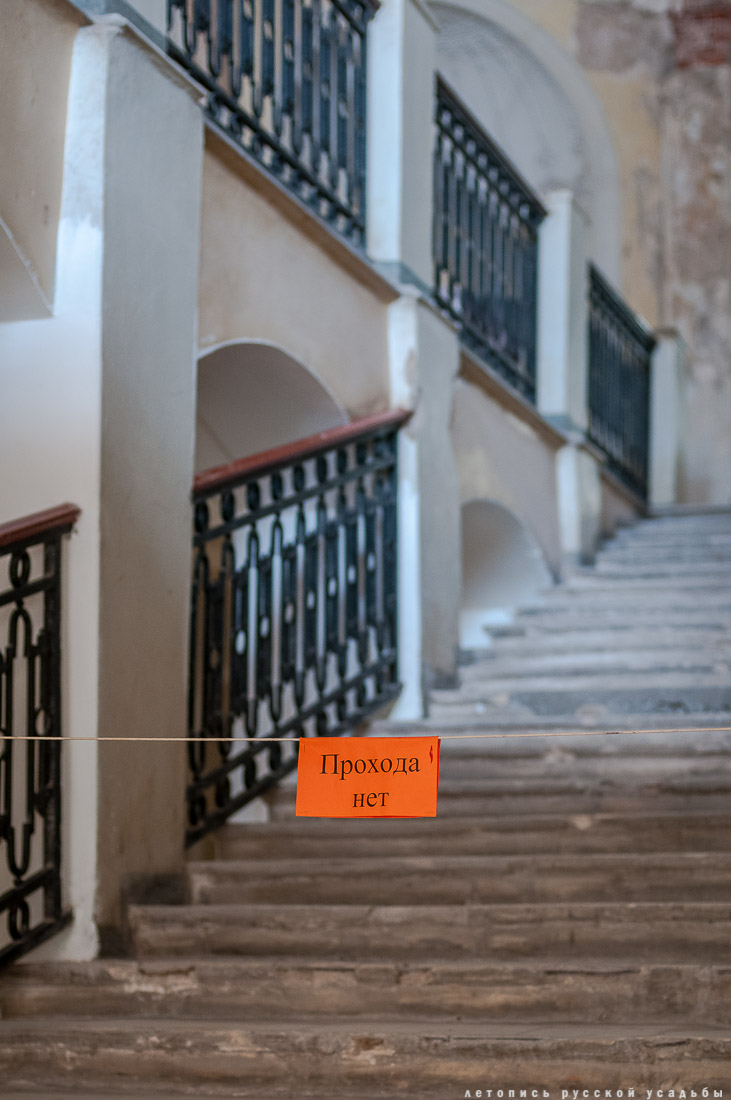 Положительные новости недели 13