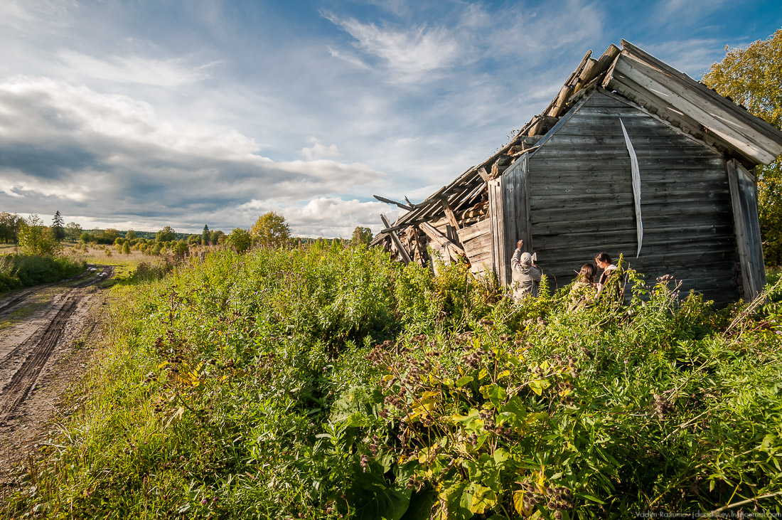 дер. Кучепалда, Архангельская обл.
