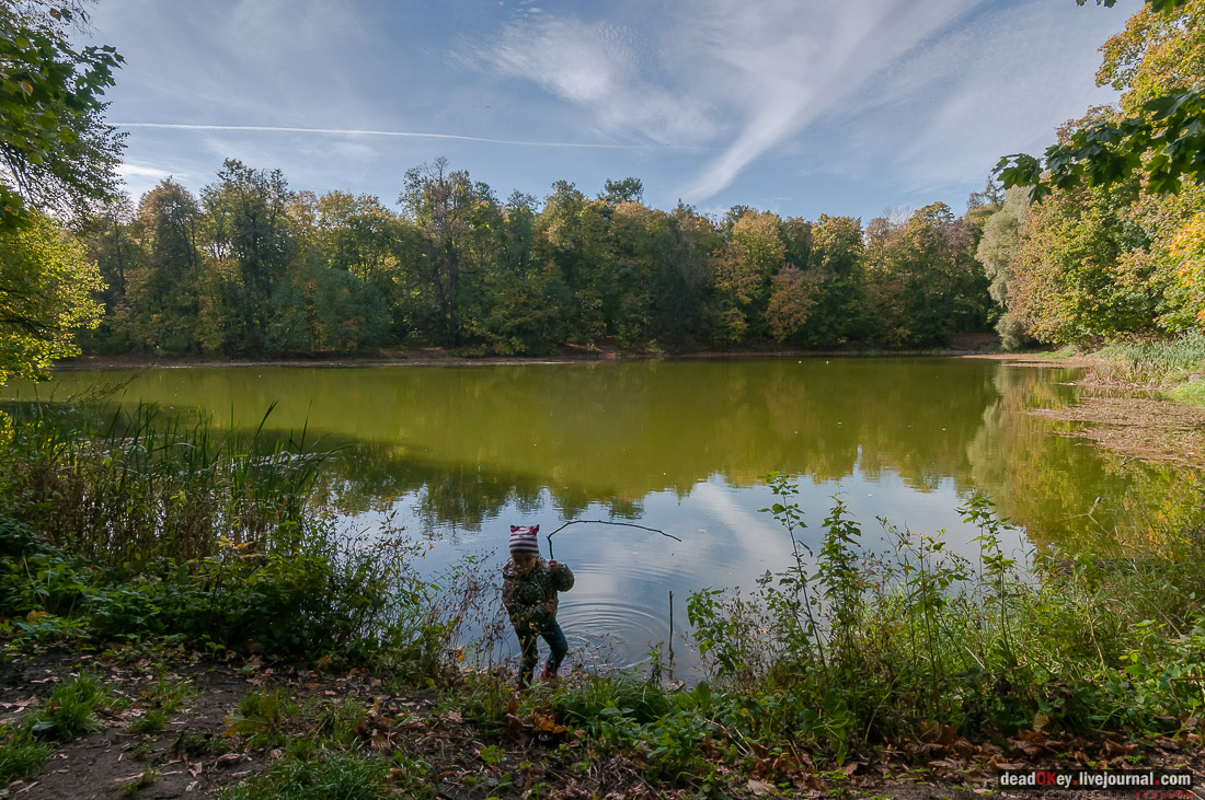усадьба Быково. Субботник в усадьбе 7 ноября 2015 года