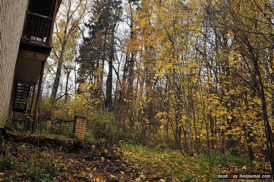 усадьба Жуково