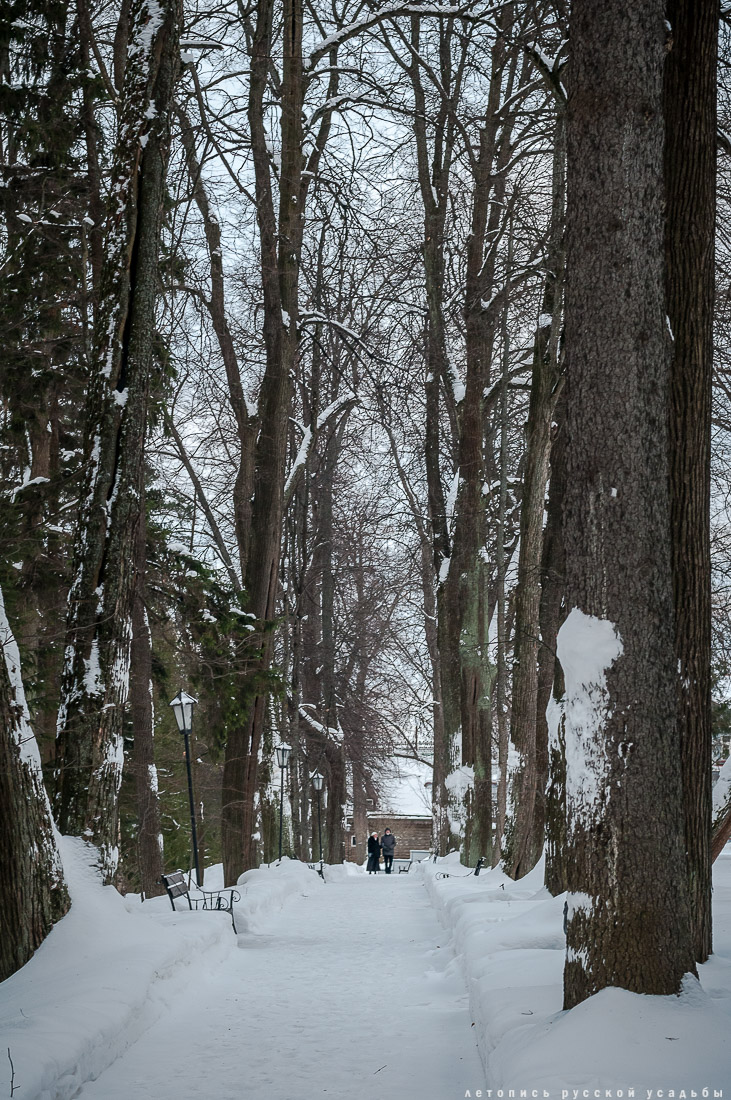 усадьба Абрамцево, зима 2017