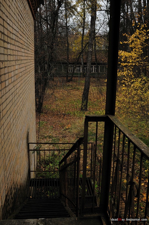 усадьба Жуково