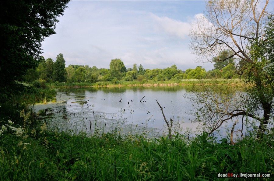 усадьба Завалино