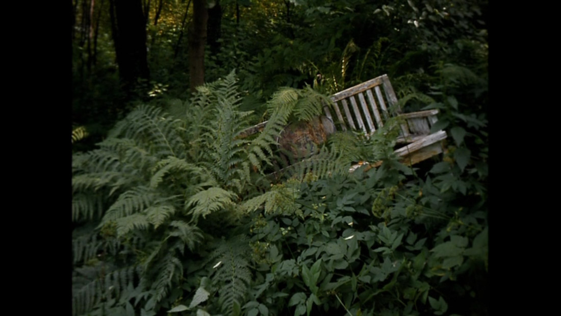 фильм Дворянское гнездо (1969).