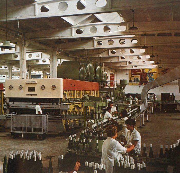 Действительно ли Болгария мечтала войти в состав СССР ? СССР