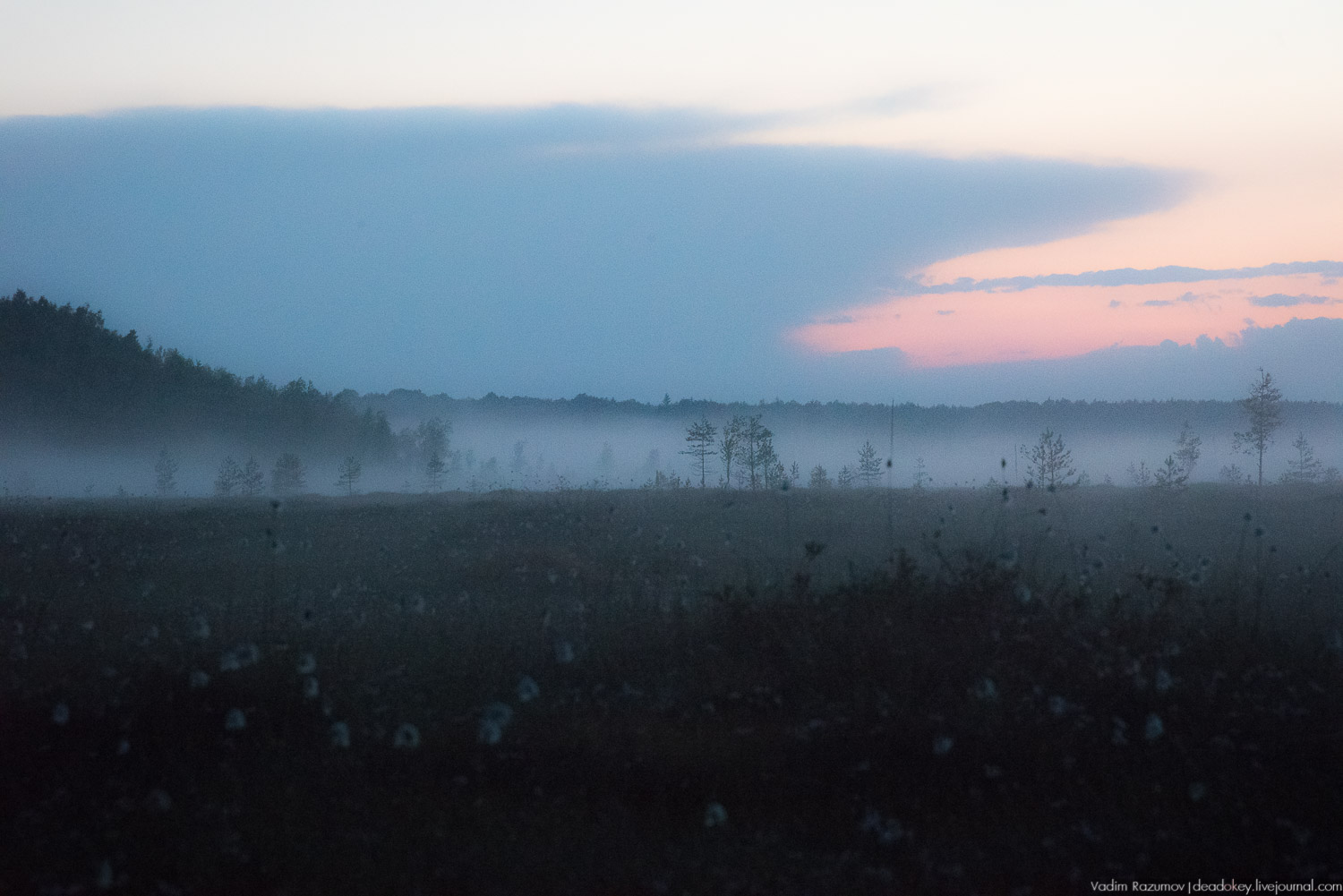 Центрально-лесной государственный природный биосферный заповедник, Нелидовский район, Тверская область, пос. Заповедный