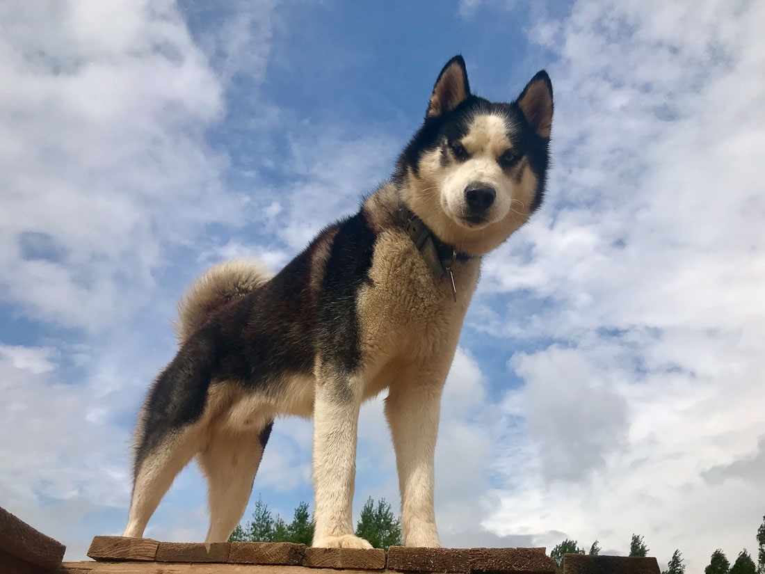 7 июля - Экоэлектричка. Руза.