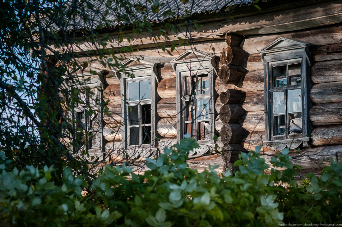 дер. Кучепалда, Архангельская обл.