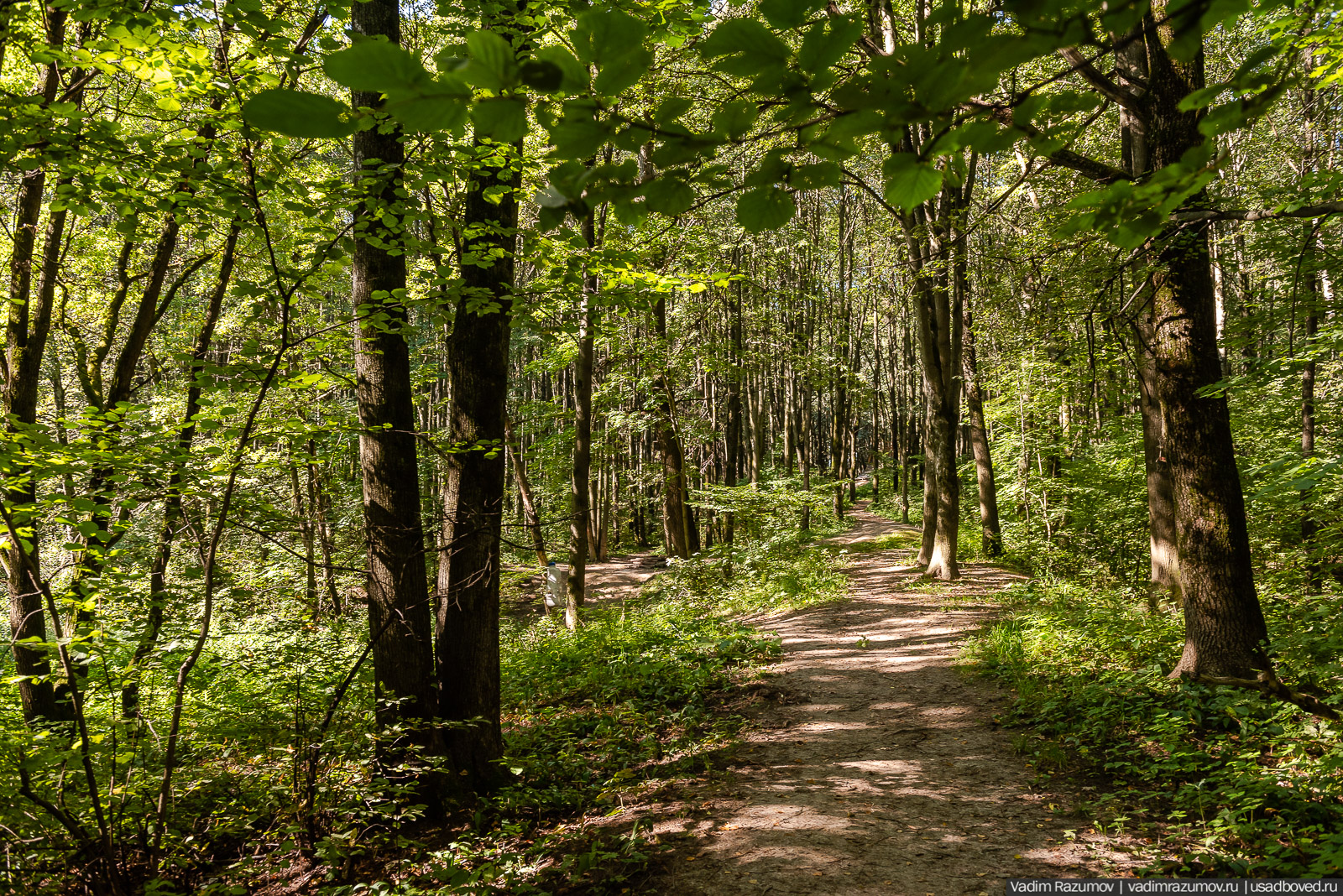 Усадьба Заболотье, парк, курганы, Долгопрудный, Москва