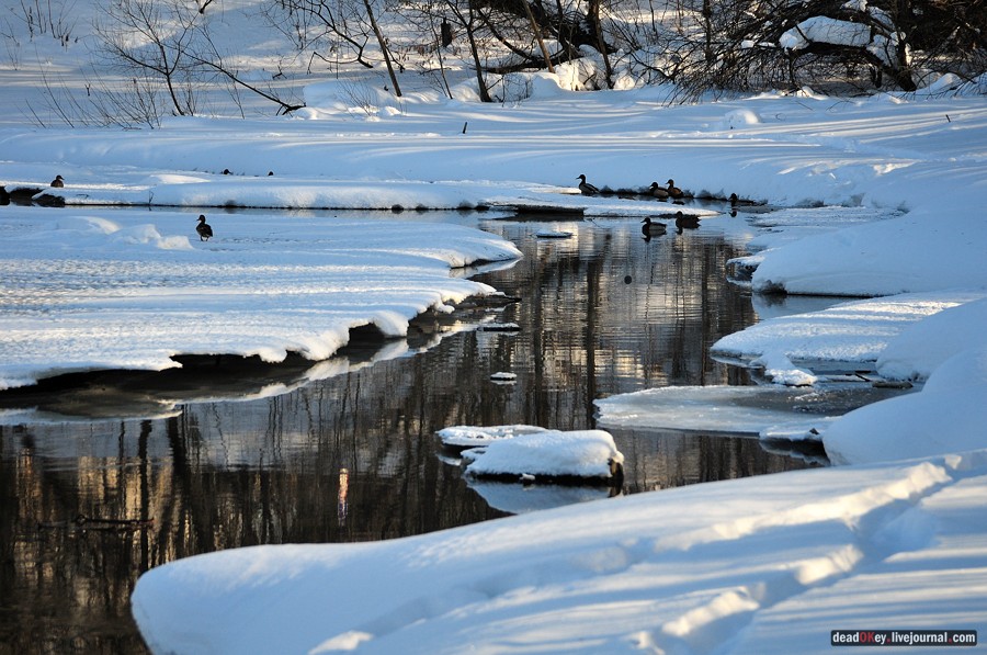 усадьба Петровское-Лобаново